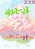 像风一样的自由歌词