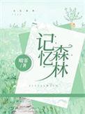 记忆森林张家界之恋