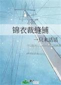 锦衣裁缝铺女主身世