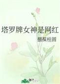 塔罗牌女明星