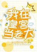 我在皇宫当老大百度