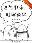 过气影帝娃综翻红txt