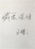 藏匿深情类别言情作者 日曜三