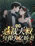 闪婚小娇妻
