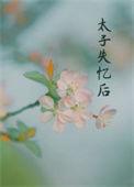 丞相夫人无弹窗