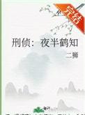 刑侦夜话全集大结局