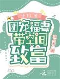 团宠小福妻