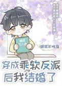 穿成反派的较软情人