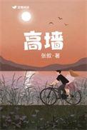 高墙上四角的天空指什么