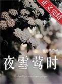 夜雪夜鸢