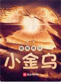 偷偷养只小金乌百度