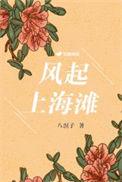 风起上海滩李峰