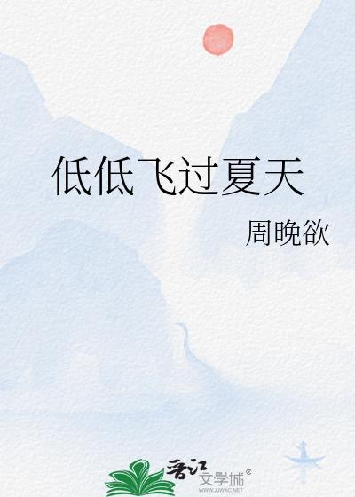 低低飞过夏天讲的什么