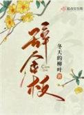 冬天的柳叶