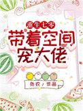 重生七零之带着空间去种田完结