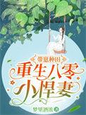 重生八零带娃僚夫