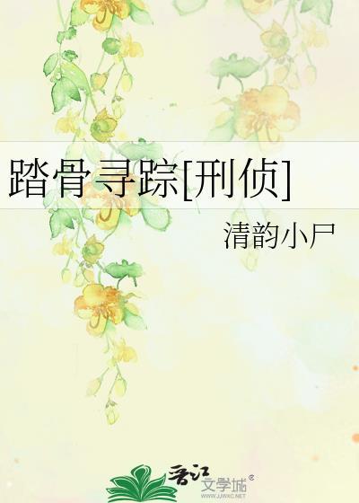 踏血寻梅剧情详细讲解