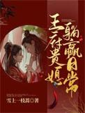 王府小媳妇完整版