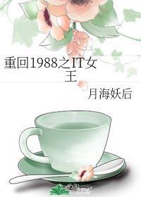 重回1988之IT女王txt资源