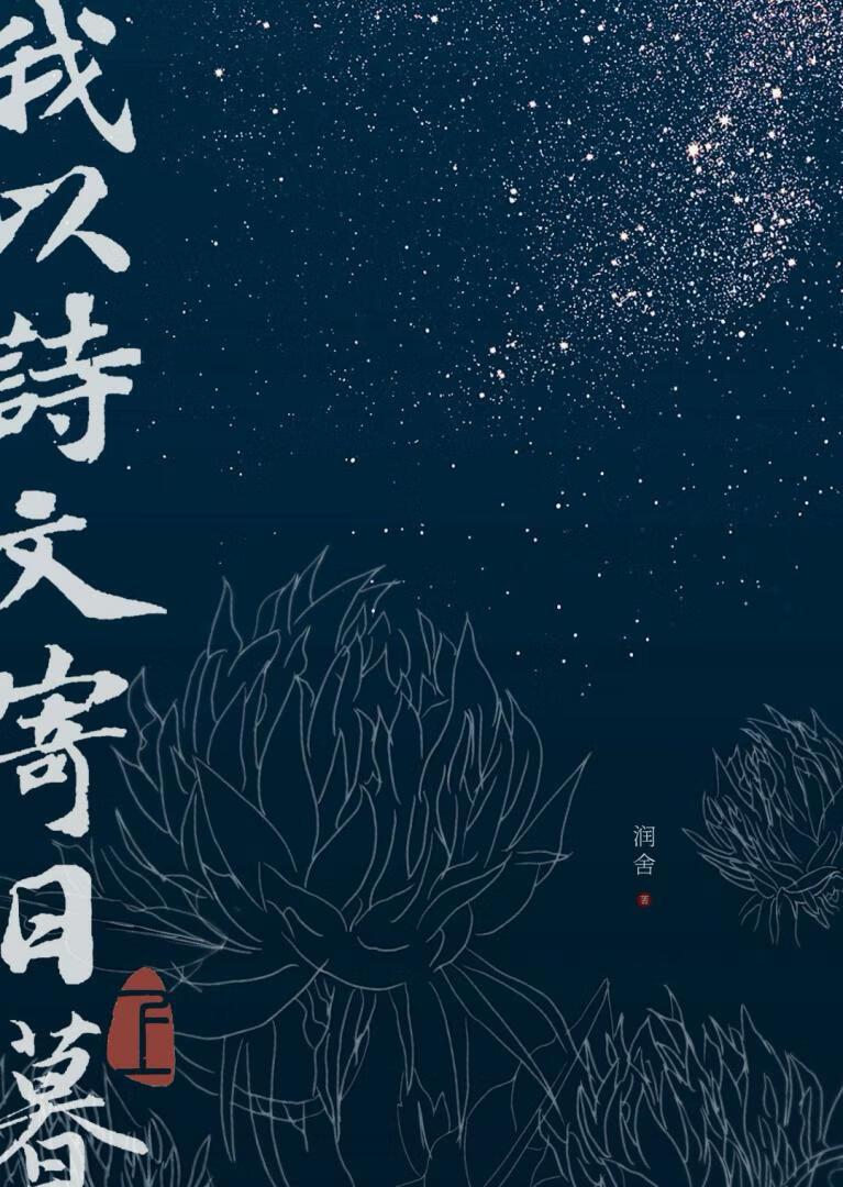 我以诗文寄日暮TXT