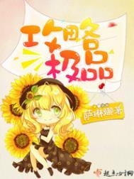 攻略极品 安妮