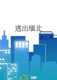 逃出缅北在线观看