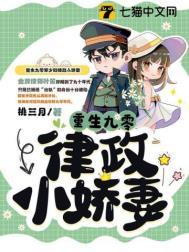 重生九零律政小娇妻晋江