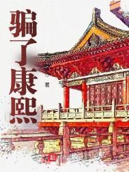 康熙被谁盗了