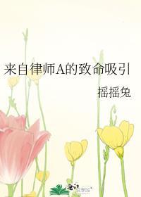 来自律师a的致命吸引免费阅读
