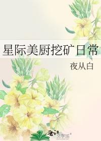 星际 厨