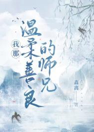 我那温柔善良的师兄剧透