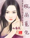 极品重生(新流星蝴蝶剑同人) 正川