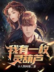 我有一个宝葫芦全文