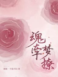 魂牵梦荛