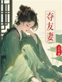 夺友妻赵霁云完结版