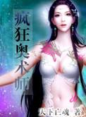 疯狂奥术师全文免费阅读