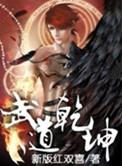 武道乾坤有声听书全集免费听