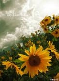 一厘米的阳光番外txt百度