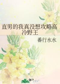 我真的是直男完结破解版