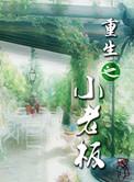 重生之小老板八零