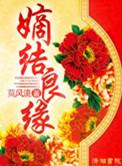嫡结良缘原著
