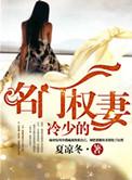 冷少的名门权妻 夏凉冬
