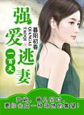 强婚霸爱免费阅读全文