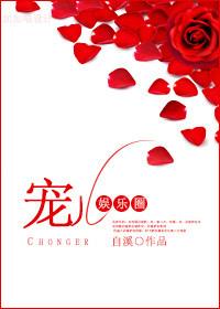 宠儿简介