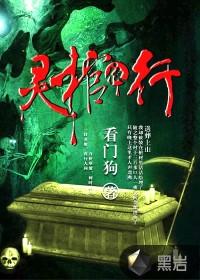 灵棺夜行主要讲什么