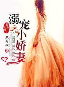 钻石闪婚之溺宠小娇妻容颜