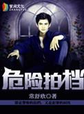 危险拍档怎么样