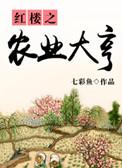 红楼农业大亨书包