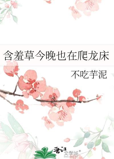 含羞草 剧