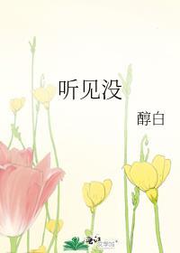 听见没txt百度免费阅读